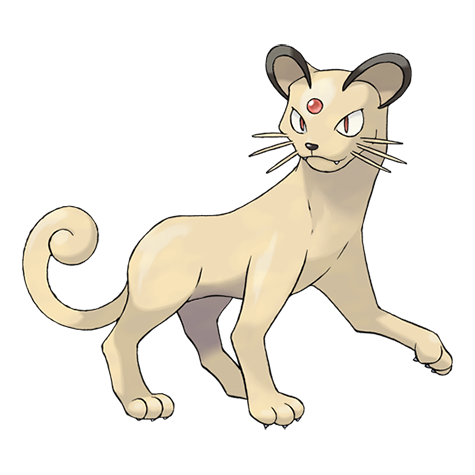 猫老大